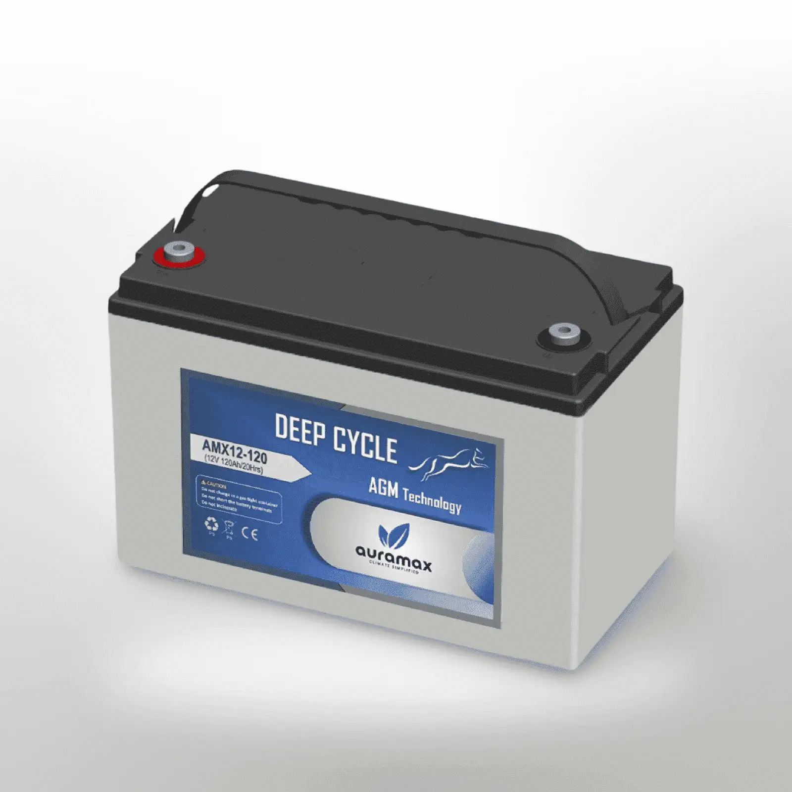AGM Batteries: AMX12-120