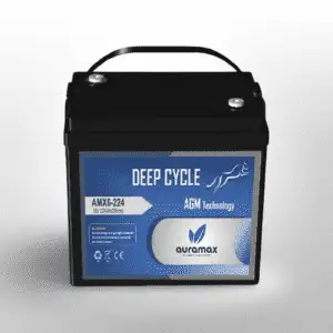 AGM Batteries: AMX6-224