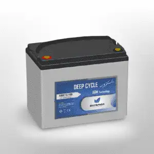 AGM Batteries: AMX12-100