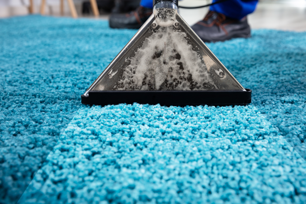 carpet dryers